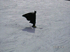 s_PICT0013_thumb.png